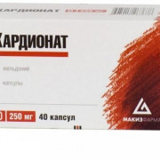 small-kardionat-kaps-250mg-n40-up-knt-yach-pk-0